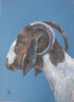 Acryl 30 x 40 cm.
